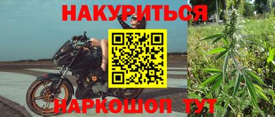 альфа пвп Новокубанск