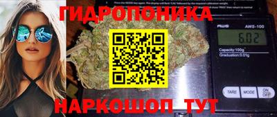 альфа пвп Новокубанск